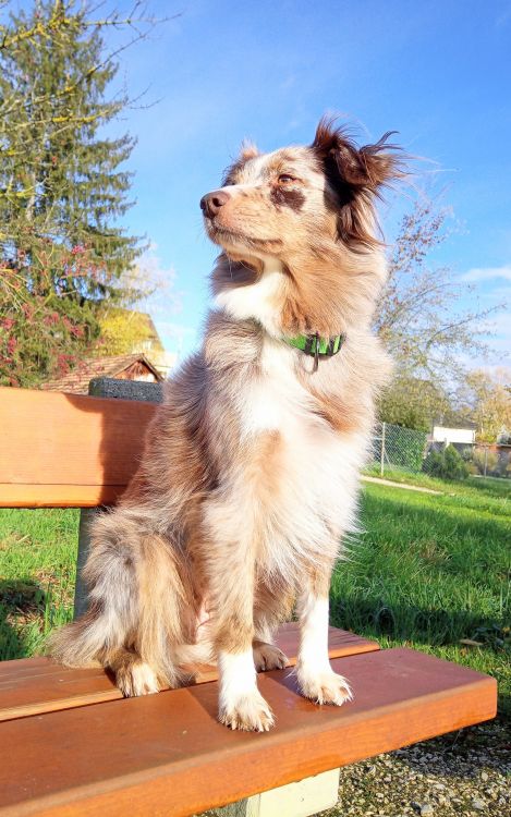 Frausein aus Liebe zur Erde, Stefanie Heinis, Tanz, Ritual, Natur, Herzsingen, Dornach, Arlesheim