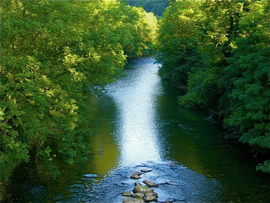 frausein aus liebe zur erde, stefanie heinis, arlesheim, dornach, tanz, natur, meditation, ritual