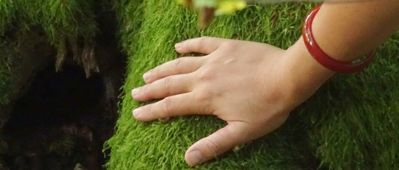 frausein aus liebe zur erde, stefanie heinis, arlesheim, dornach, tanz, natur, meditation, ritual