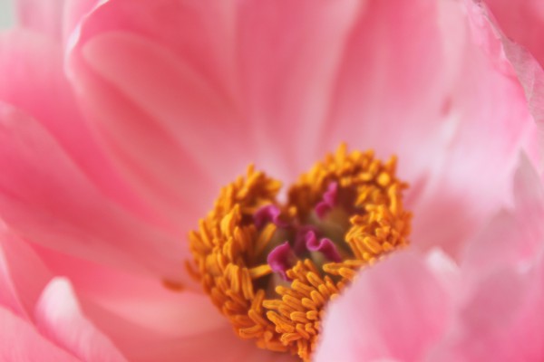 Frausein aus liebe zur erde, Stefanie Heinis, Arlesheim, Tanz, Ritual, Gesang, Natur